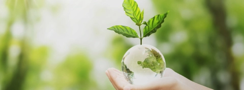 Sustainability