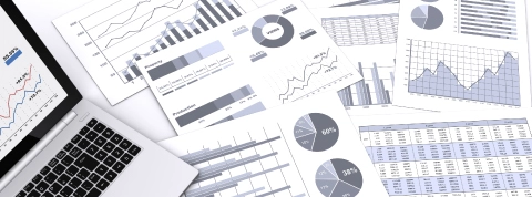 Financial Data
