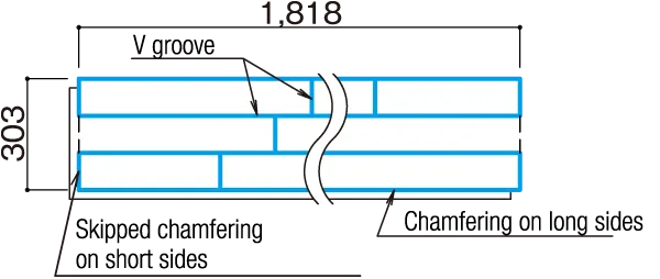 Cross-sectional View