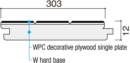 Cross-sectional View