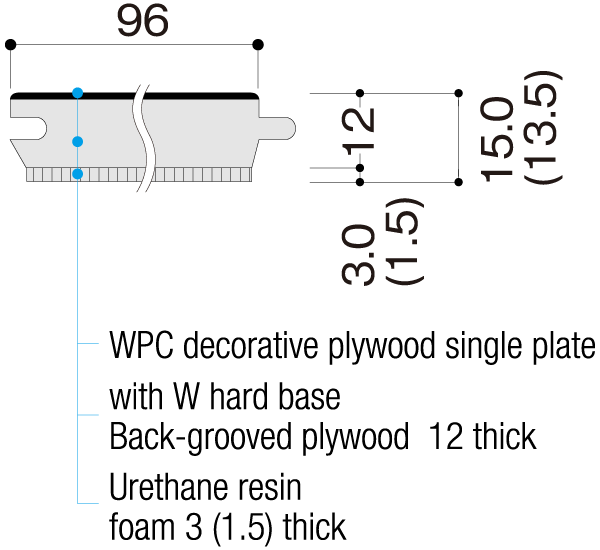 Cross-sectional View