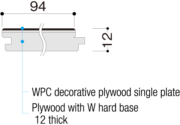 Cross-sectional View