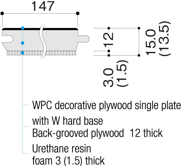 Cross-sectional View