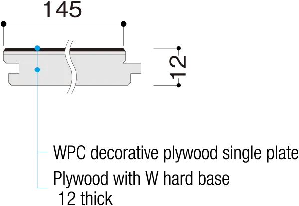 Cross-sectional View