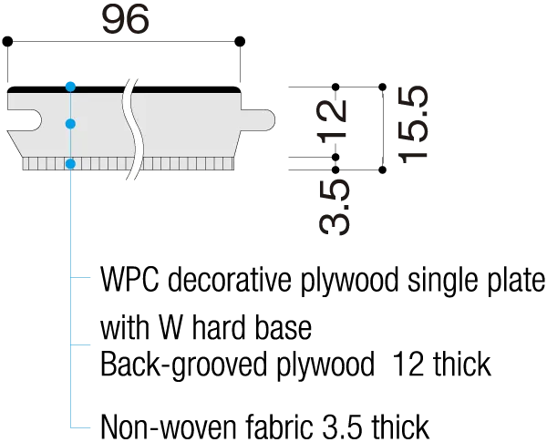 DW type Cross-sectional View, 15.5 mm thick