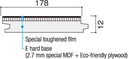 Cross-sectional View