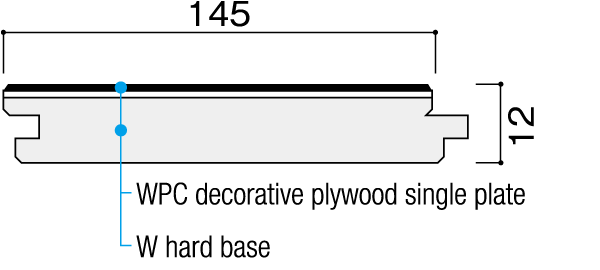 Cross-sectional View