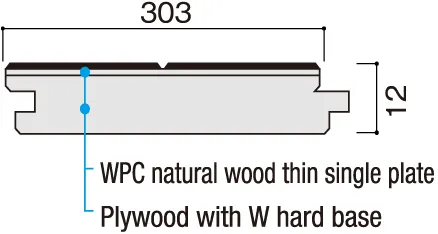 Cross-sectional View