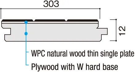 Cross-sectional View