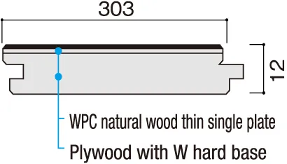 Cross-sectional View